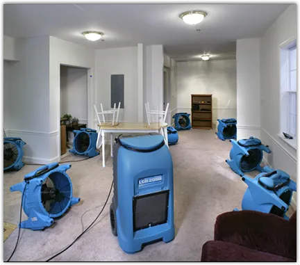 Water Damage Restoration services in Buena Vista, NJ