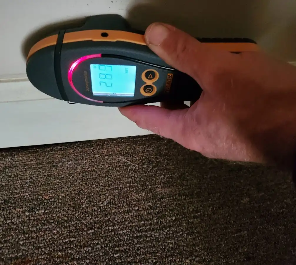 Moisture detection at baseboard during Sewage Cleanup & Sanitation in Buena Vista